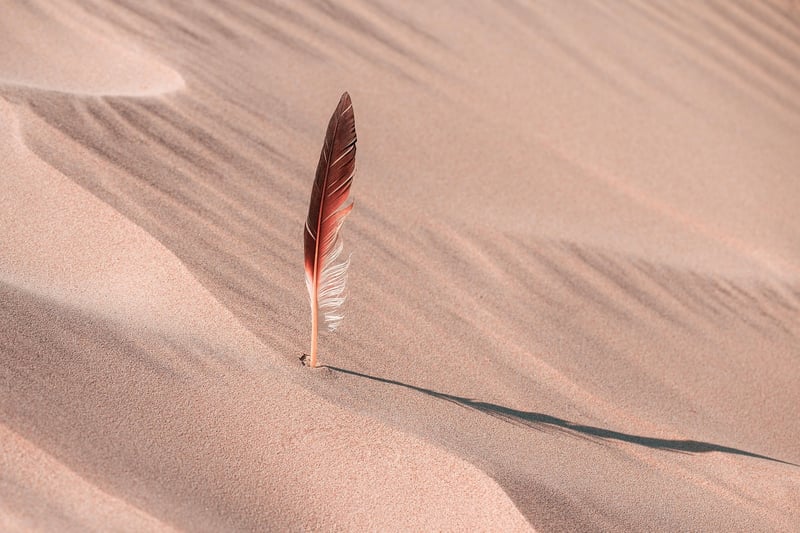 Desert Oasis